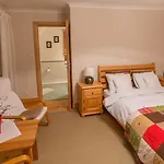 Sosna Kościelisko