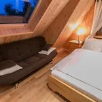 Sosna Kościelisko