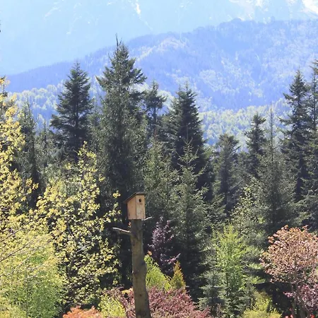 Sosna Ubytování v soukromí *