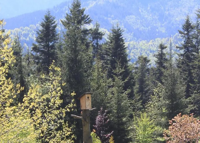 Sosna منزل للإقامة *